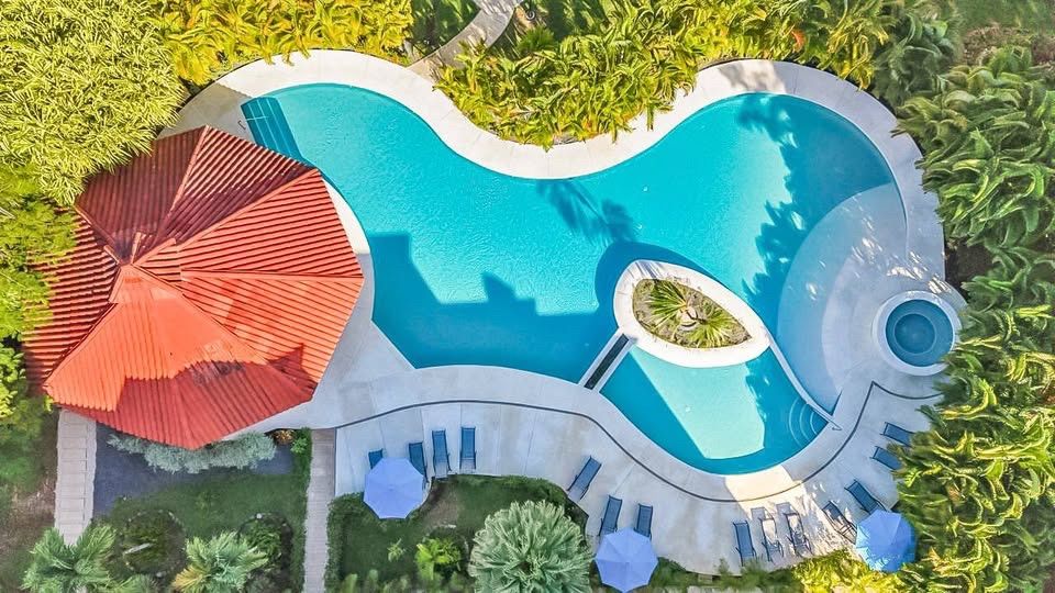 Aerial view of a shared curved pool with a small round hot tub, loungers, umbrellas and a tiled gazebo